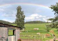 Regenbogen